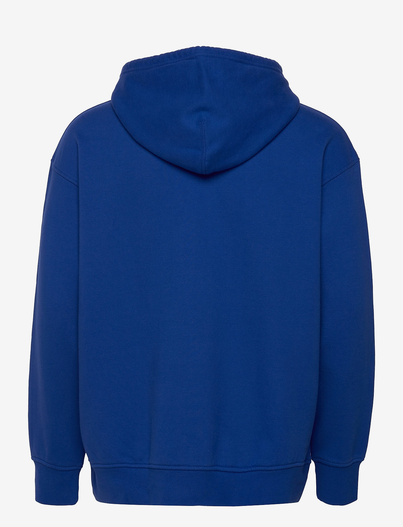 LEVI´S Men - RELAXED GRAPHIC PO SSNL POSTER - džemperi ar kapuci - blues - 1