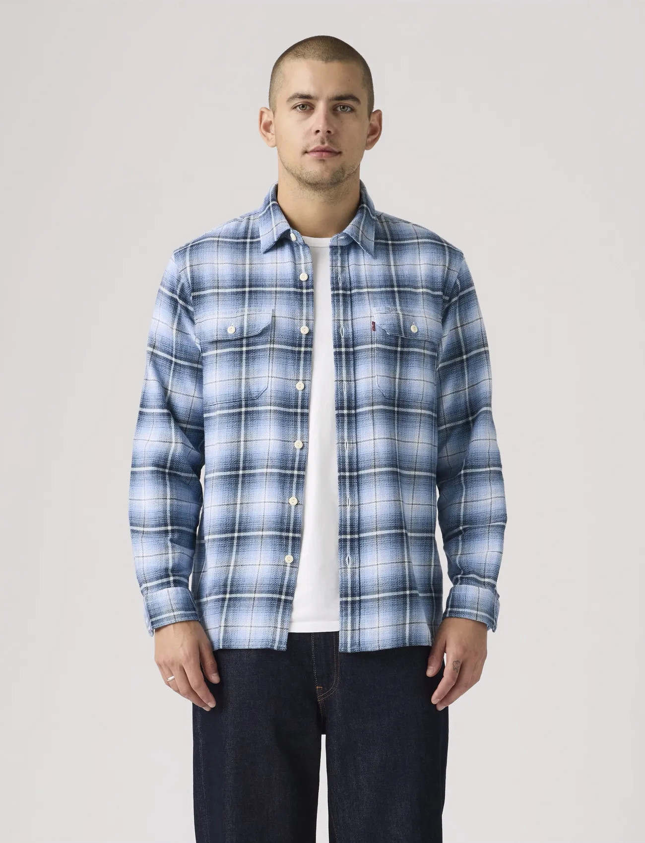 Levi's Jackson Worker Madhu Plaid All, S, Blue, Skjorter > Afslappet Shirts, Herre