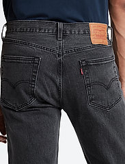 levis 501 raisin stone