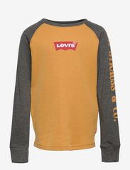 levi's batwing t shirt womens