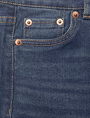 Levi's - LVG RIBCAGE DENIM PANT - jeans - from the block - 2