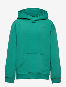 LVB RELAXED CORE PULLOVER HD - hoodies - alhambra