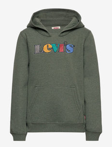 LVB GRAPHIC PULLOVER HOODIE - hoodies - thyme heather