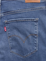 levi's 725 rio rave