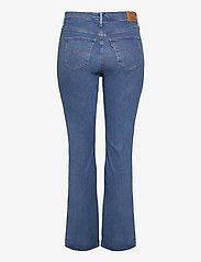 levi's 725 rio rave
