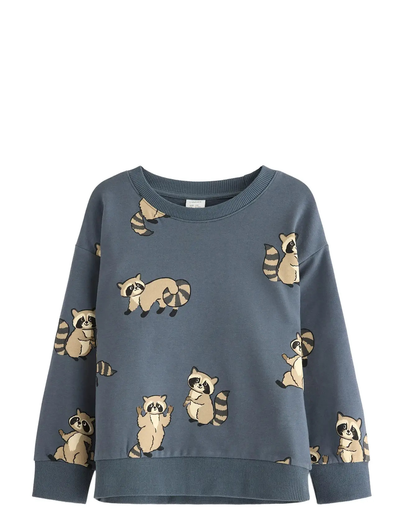 LINDEX Sweatshirt Racoon Blau - 116 - Kinder