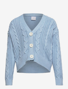 Cardigan Cable Knit - cardigans - light blue