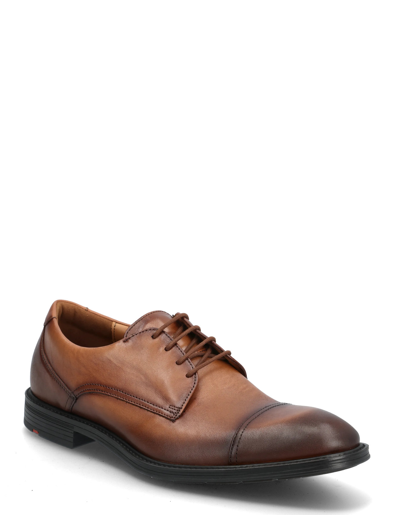 Lloyd X-Motion 150, 44.5, Brown, Business > Derby Sko, Herre