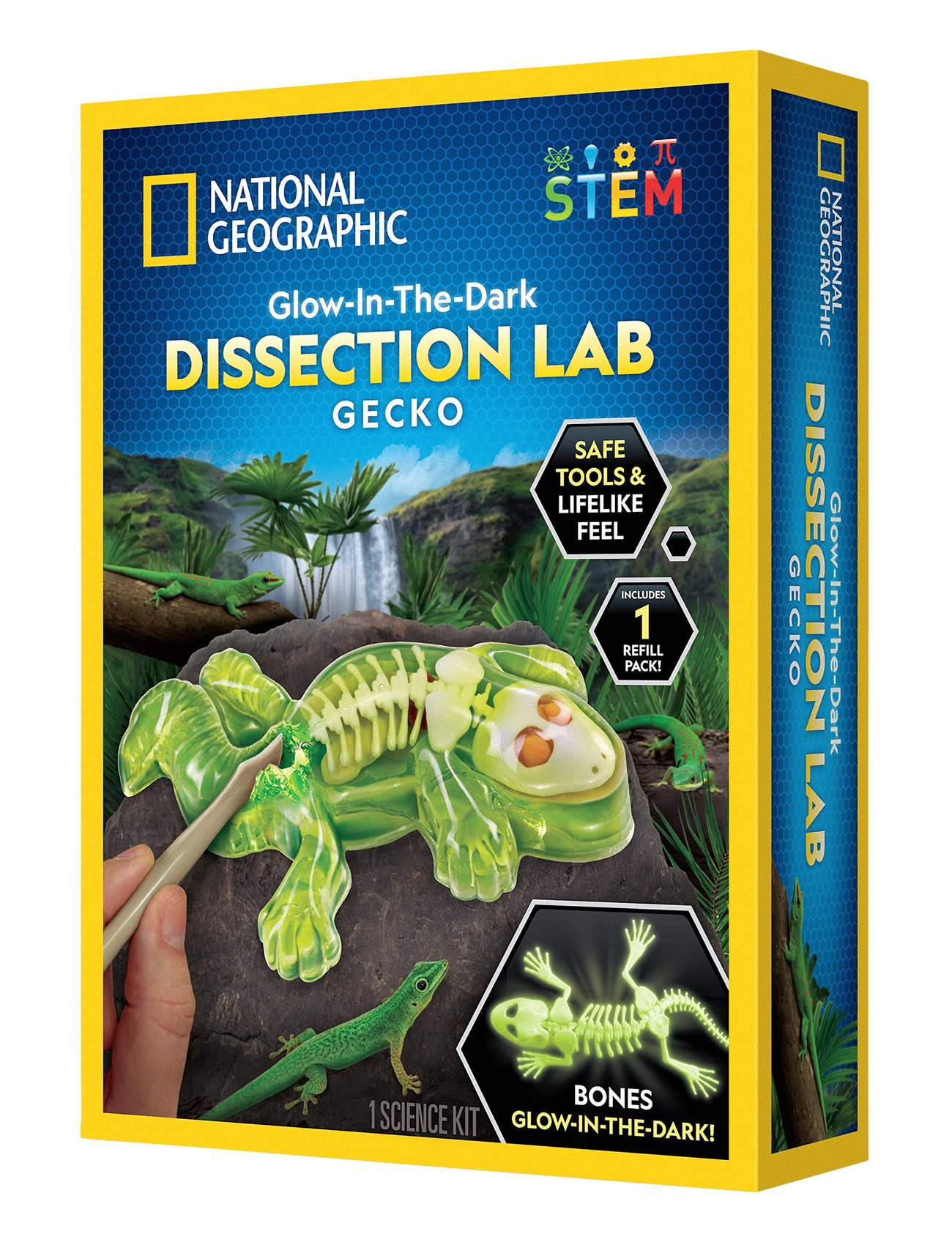 National Geographic National Geographic Gecko Dissection Lab Multi/patterned