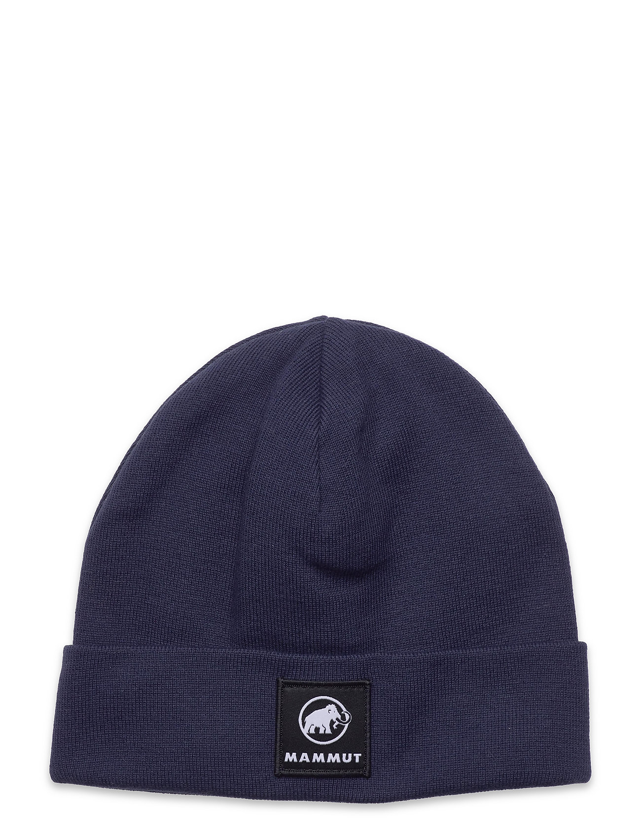 Fedoz Beanie Blue Mammut