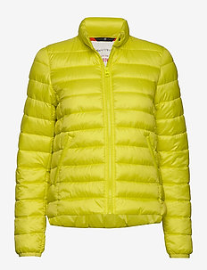 marco polo jacket price