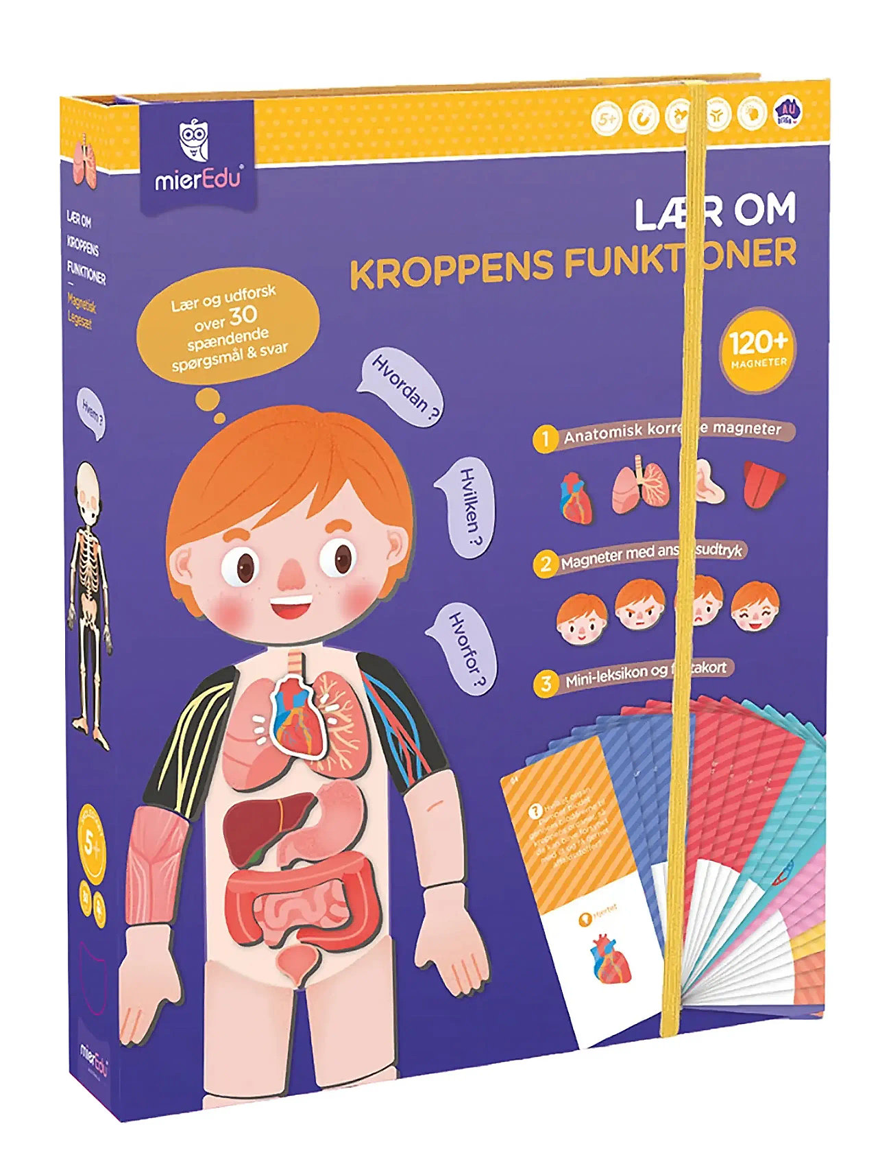 Magnetic Learning Box - All About Body And Emotion Toys Puzzles And Games Games Educational Games Multi/patterned MierEdu