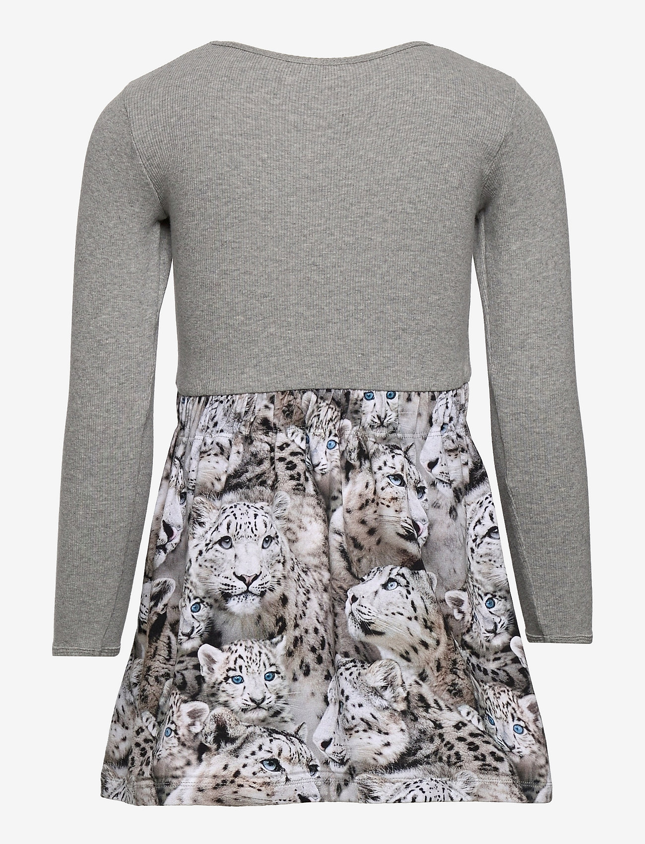 molo snow leopard