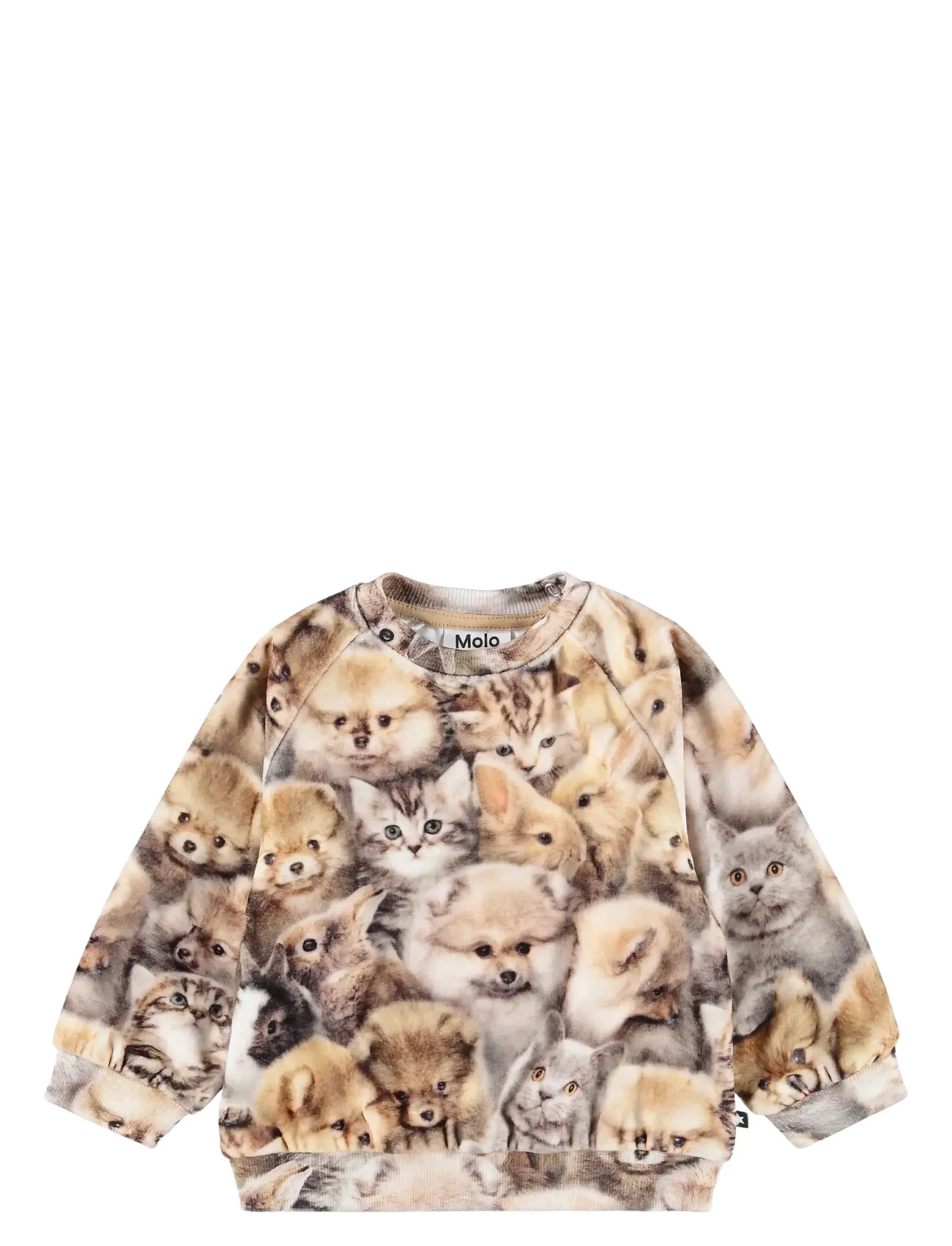 MOLO Disc Beige - 56 - Kinder