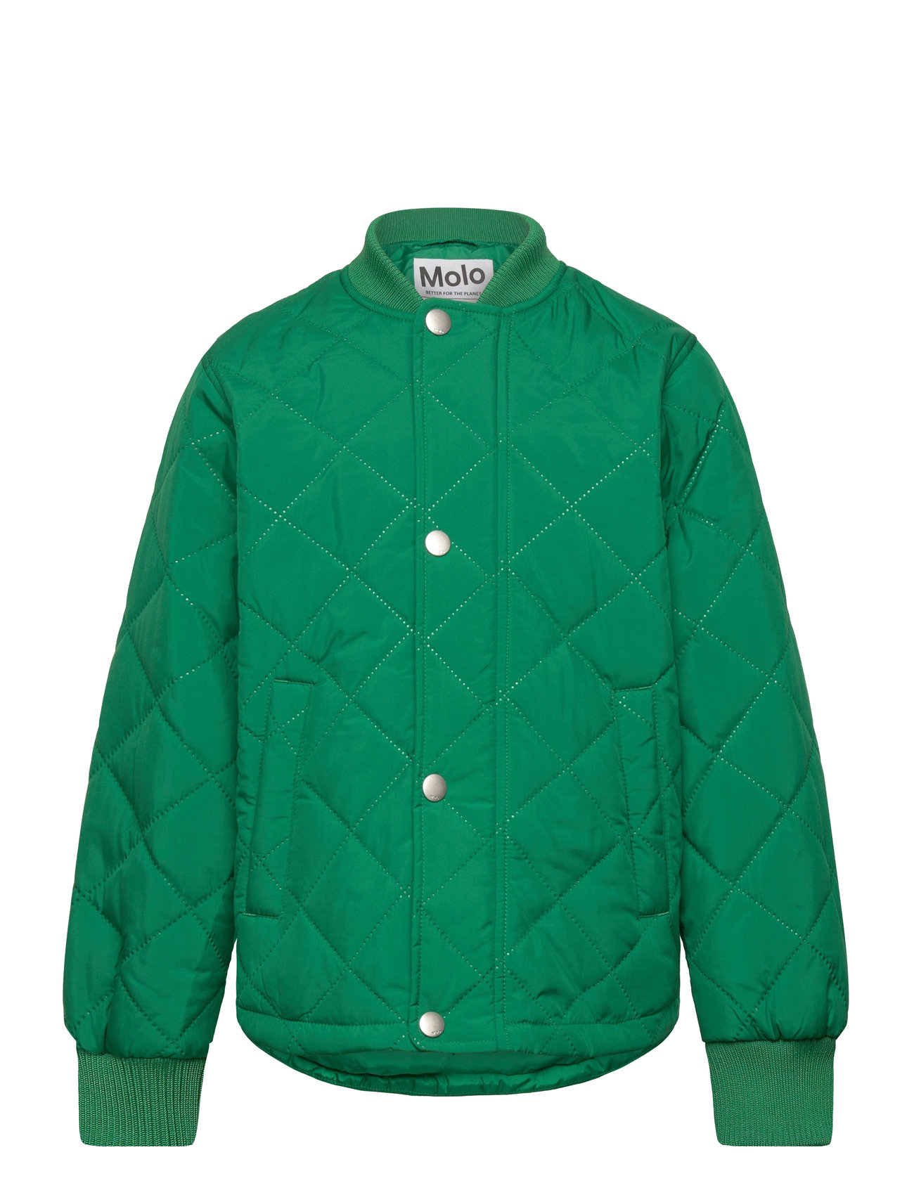 Molo Hallow, 134/140, Green, Termo-Yttertøj > Termo-Jakker, Børn