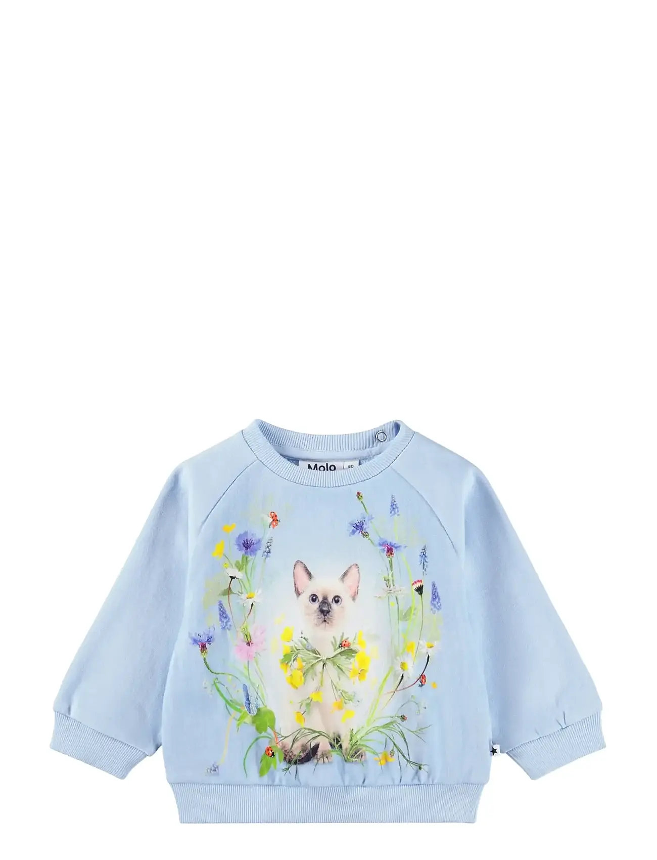 Molo Disc, 86, Blue, Sweatshirts & Hættetrøjer > Sweatshirts, Børn