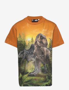 Roxo - apdrukāts t-krekls ar īsām piedurknēm - dino forest