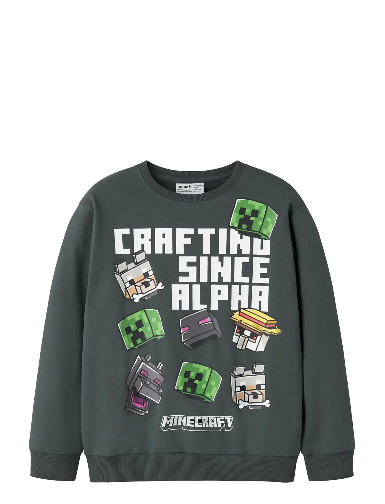 NAME IT Nkmjet Minecraft Nreg Sweat Unb Bfu Grau - 116 - Kinder
