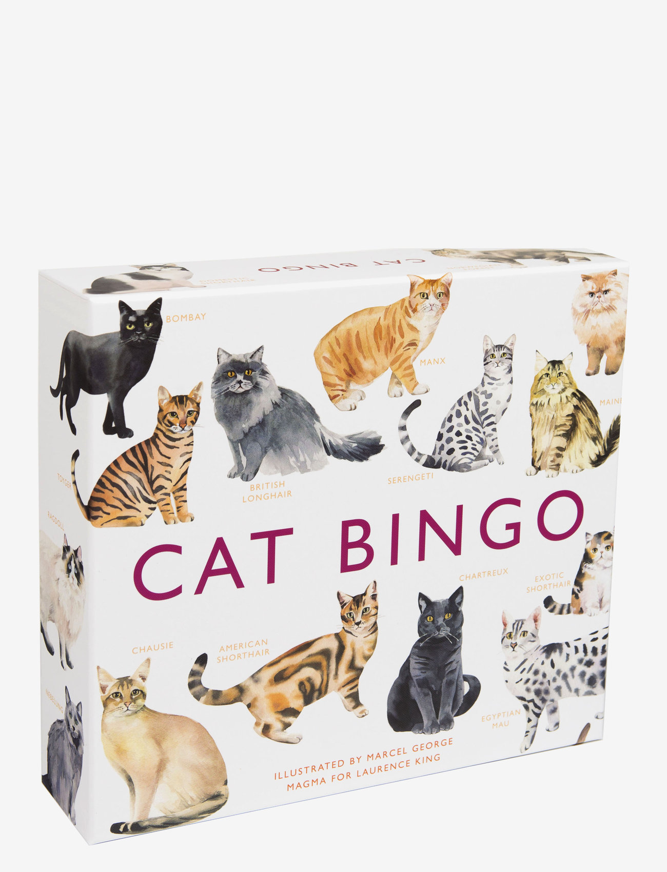 New Mags Cat Bingo Puzzles & games