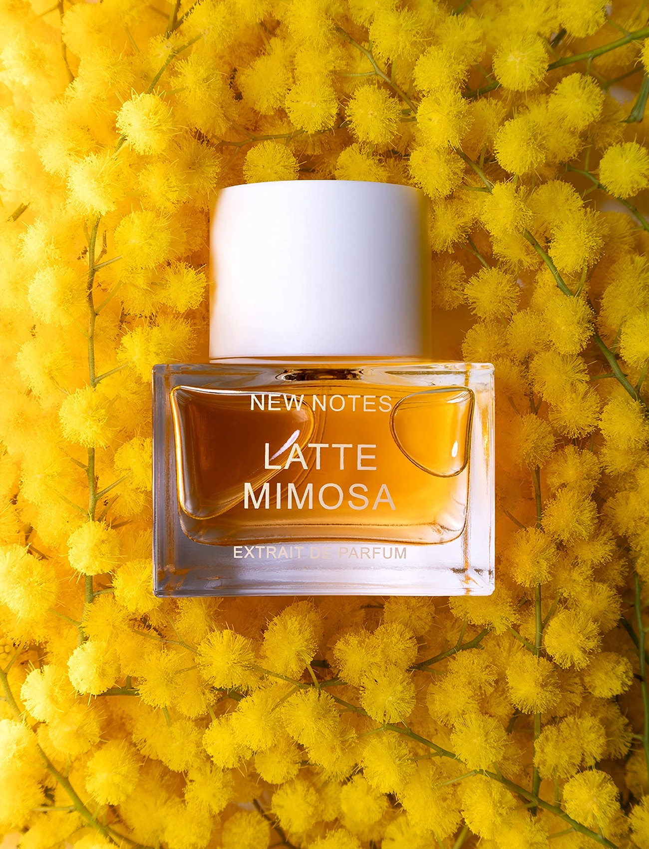 New Notes Latte Mimosa Edp Extrait De Parfum 50 ml, 50 ml, White, Parfume > Eau De Parfum, Dame