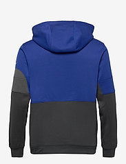 nike team therma hoodie