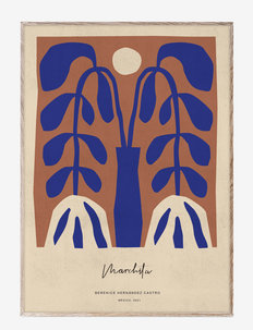 Marchita - ilustracje - blue, beige, brown