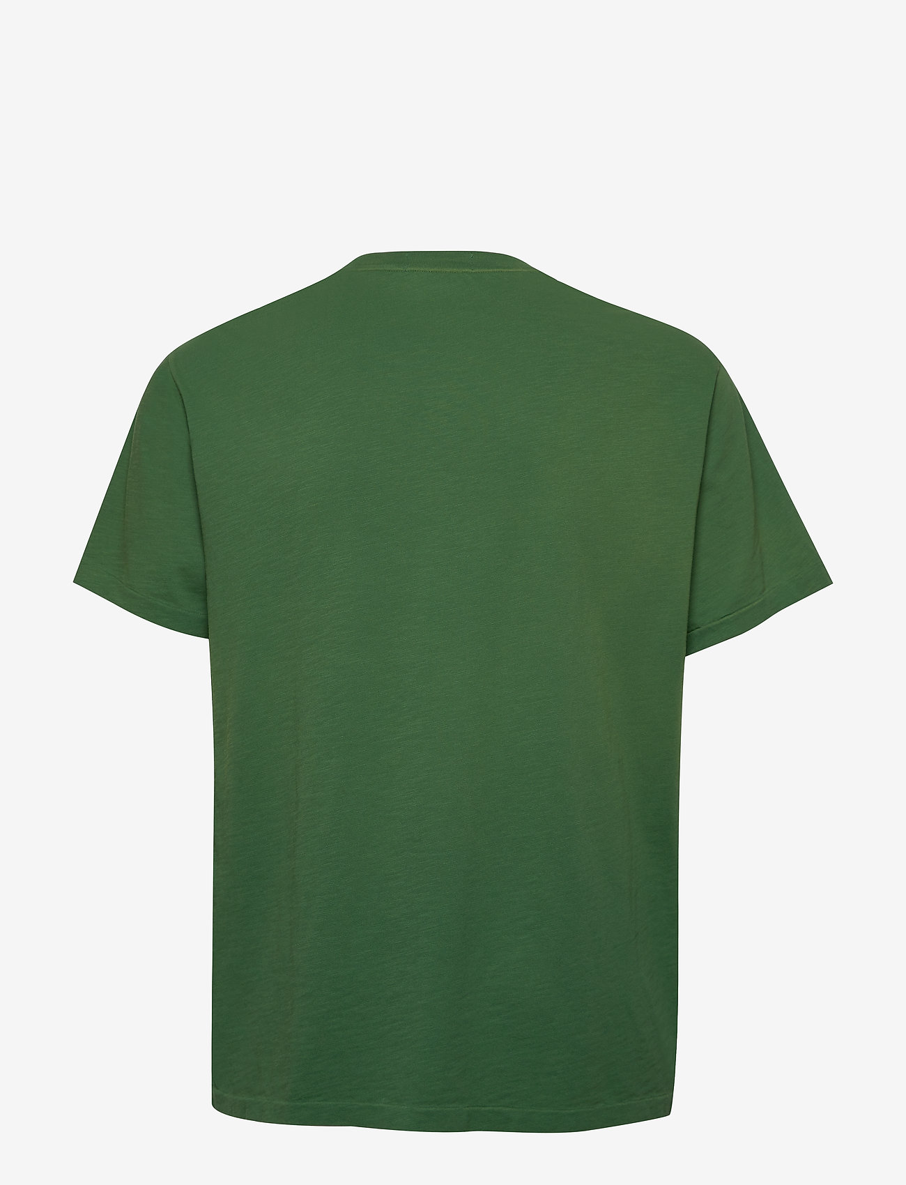 Classic Fit Graphic T-shirt (Verano Green) (51.97 €) - Polo Ralph ...