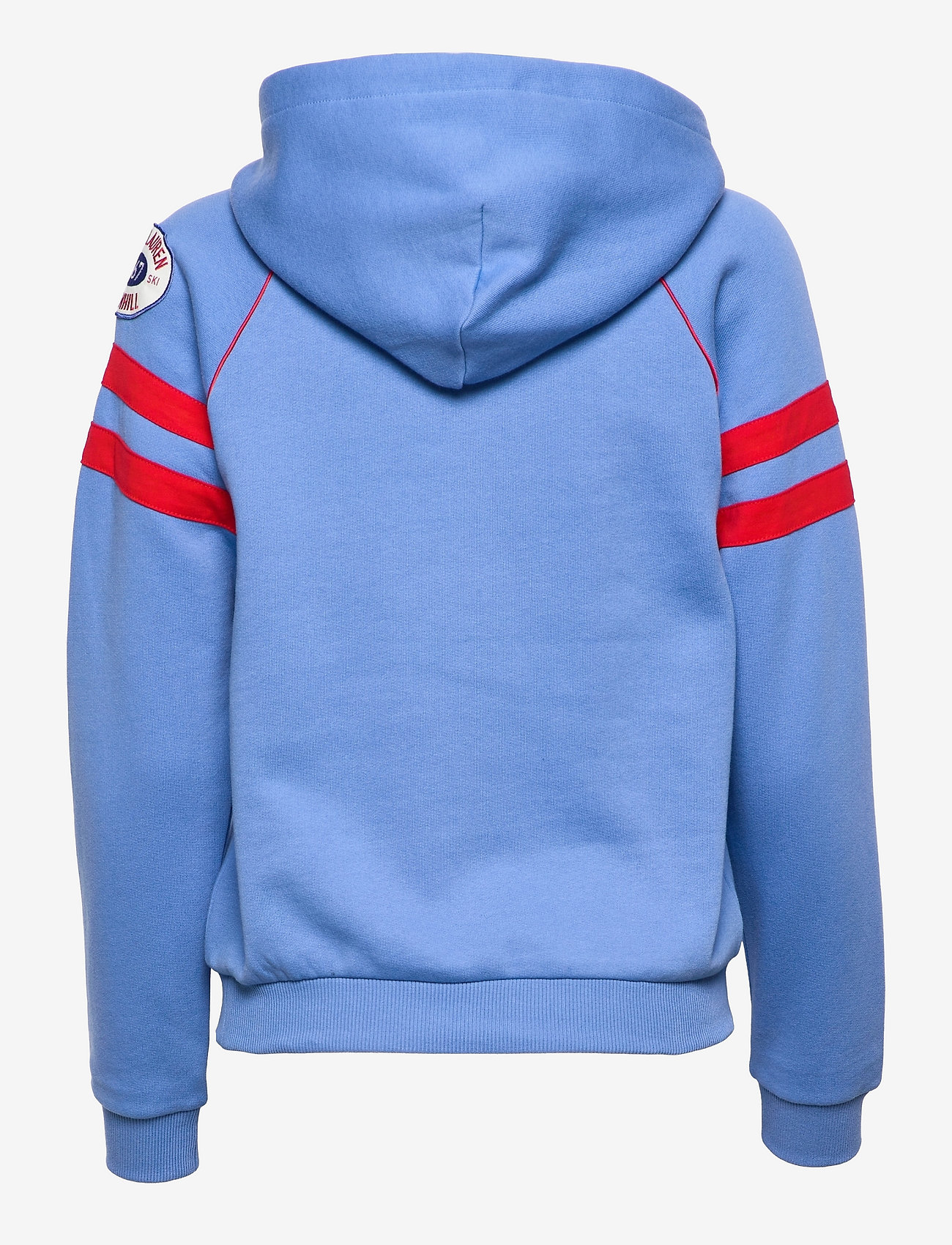 Polo Ralph Lauren - Logo Fleece Hoodie - hoodies - summer blue - 1