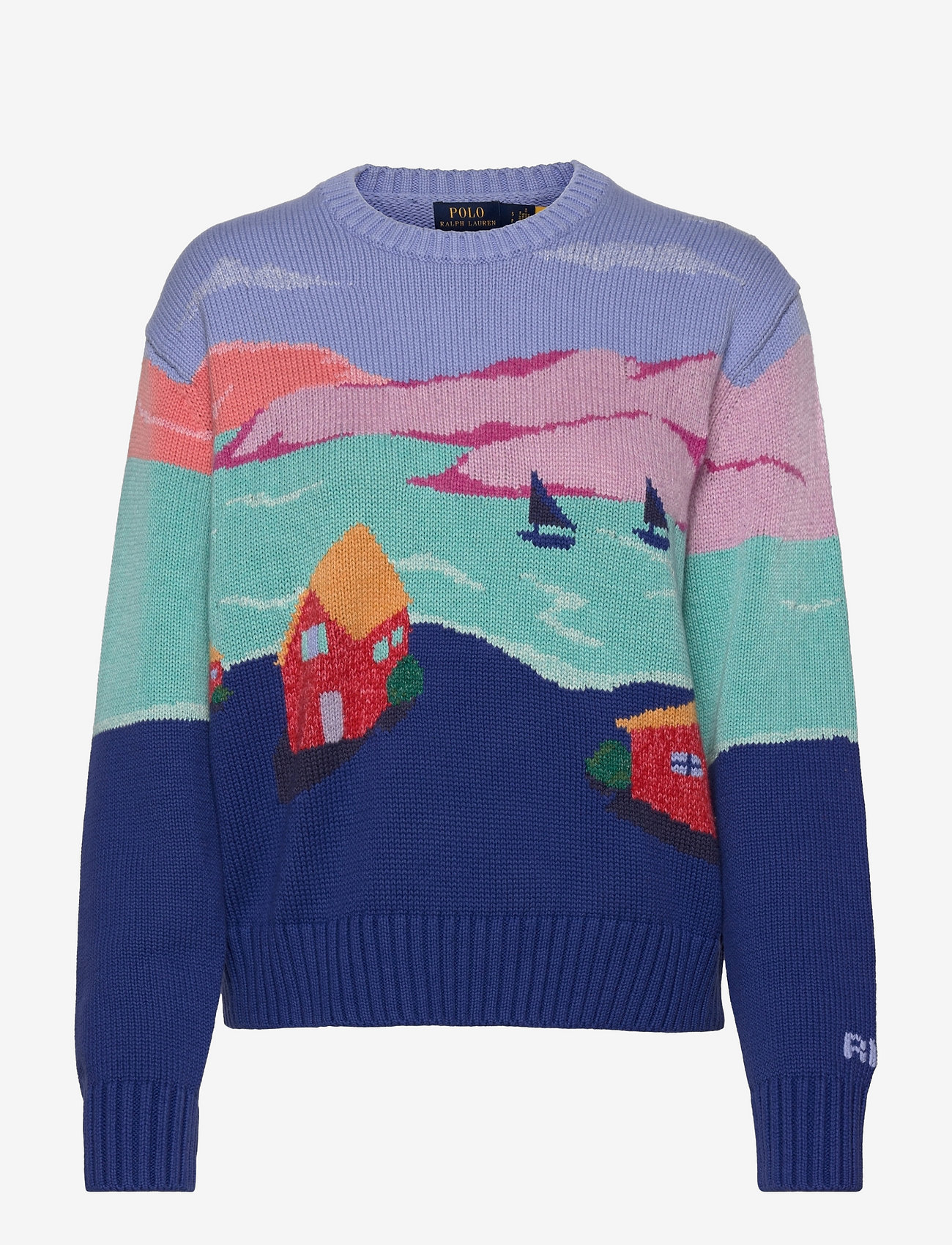 polo graphic sweater