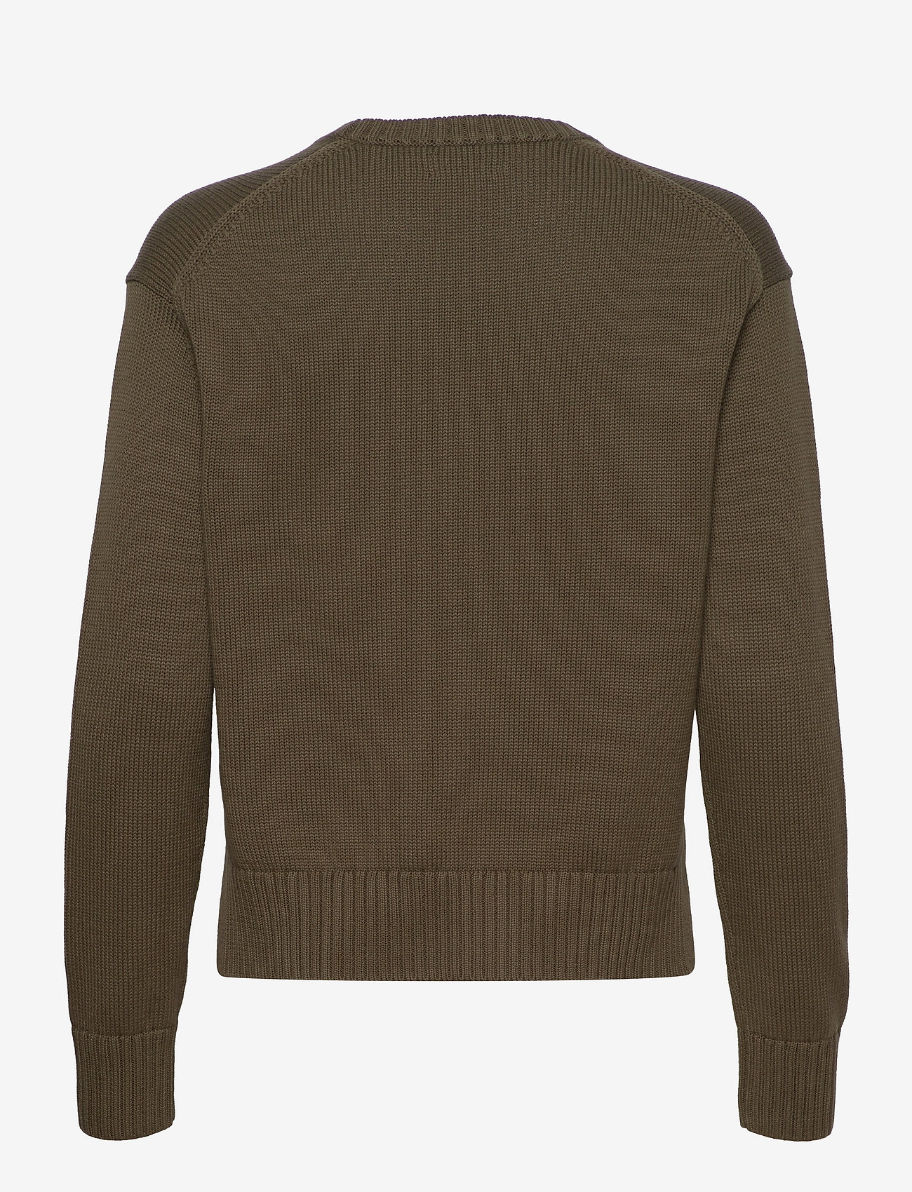 Polo Ralph Lauren - Cotton Crewneck Sweater - jumpers - defender green - 1