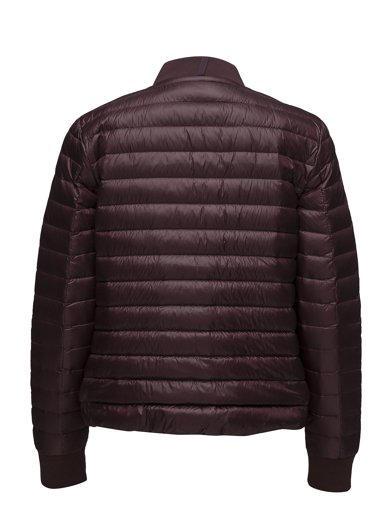 Nyln Ralph Lauren Wt dnf Lt jktaged WinePolo ul31cTKJ5F