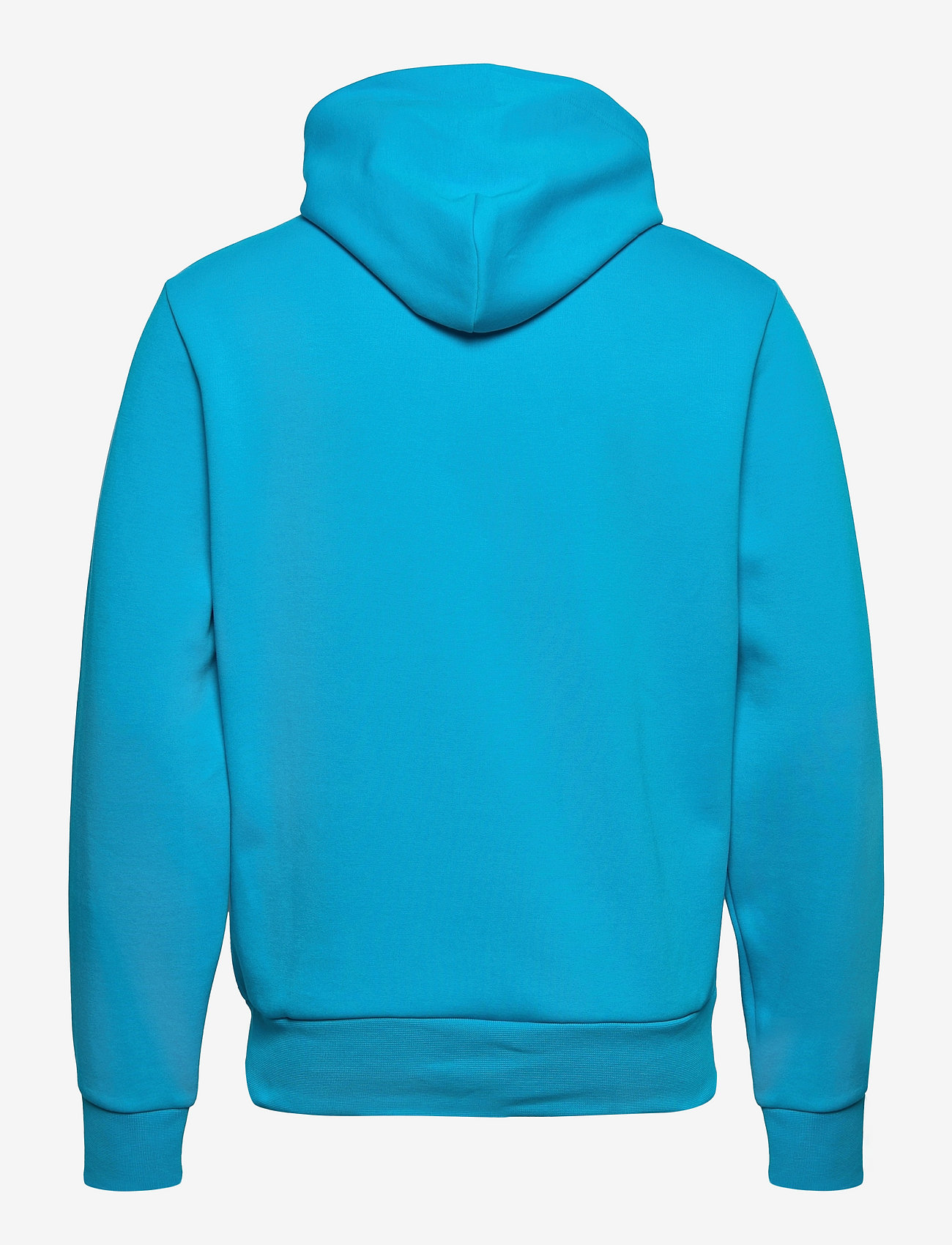 Polo Ralph Lauren - Double-Knit Hoodie - hoodies - cove blue - 1