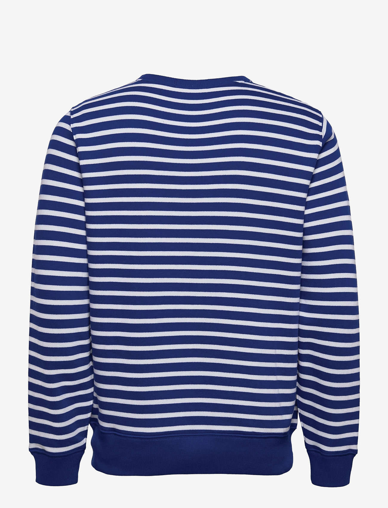 striped polo bear fleece sweatshirt