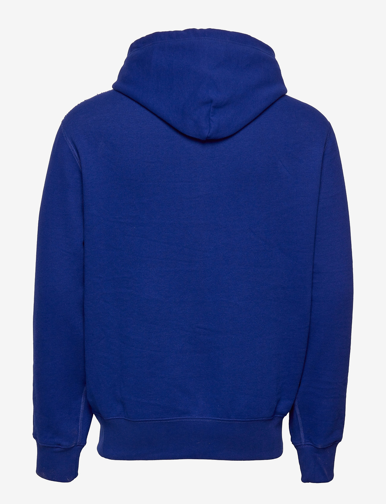 polo ralph lauren fleece graphic hoodie