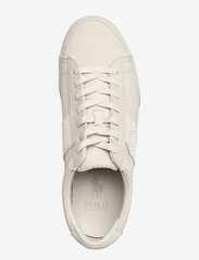 Polo Ralph Lauren - Sayer Canvas & Suede Sneaker - low tops - dove grey - 3