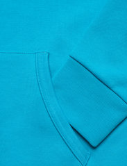 Polo Ralph Lauren - Double-Knit Hoodie - hoodies - cove blue - 3