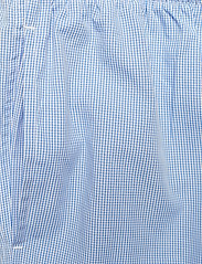 Polo Ralph Lauren Underwear - Gingham Poplin Long Sleep Set - pyjamasets - lt blue mini gi - 4