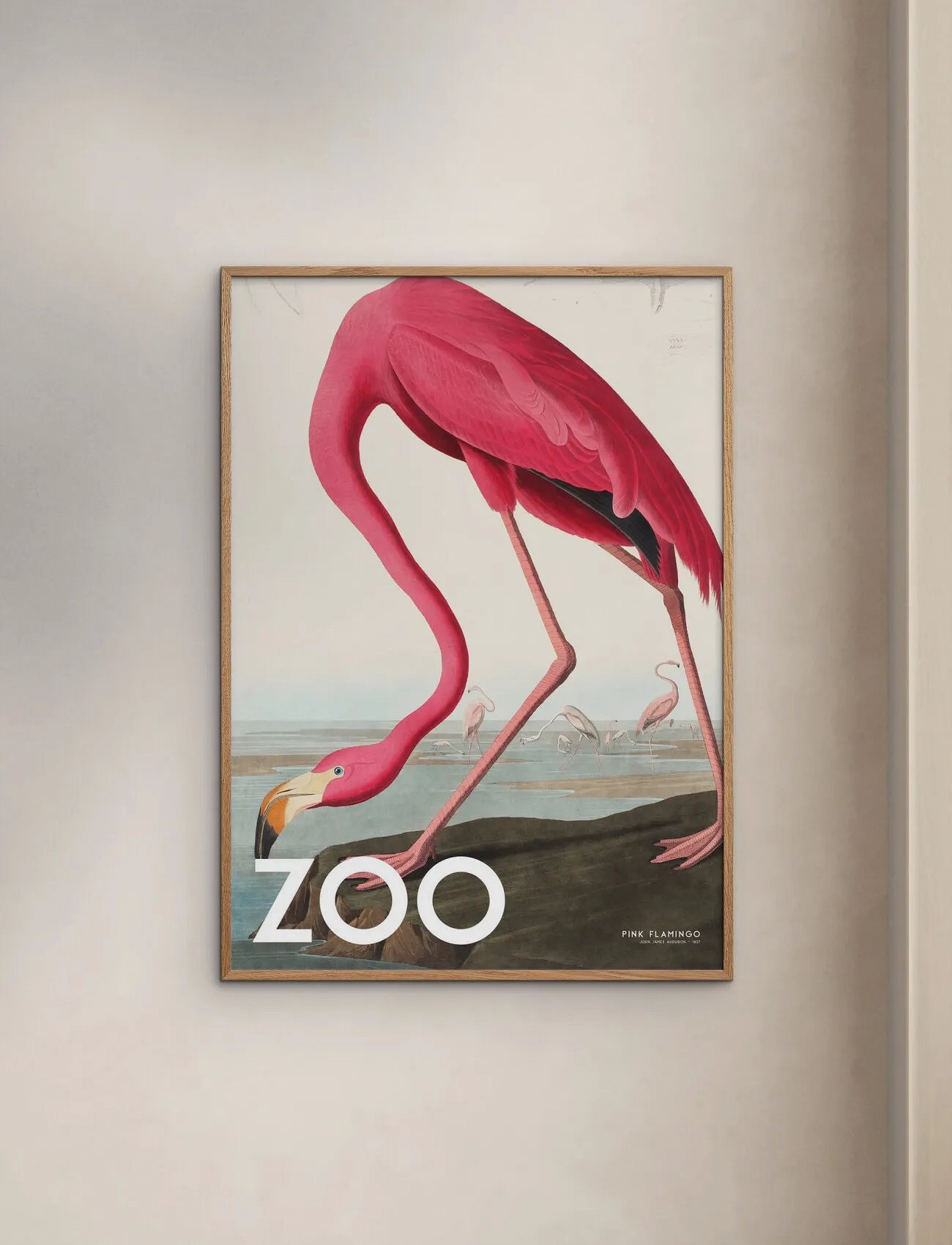 Poster & Frame A.p. Atelier - The Zoo Collection — Pink Flamingo — Edt. 002, 70X100 cm, Pink, Plakater > Dyr, Unisex