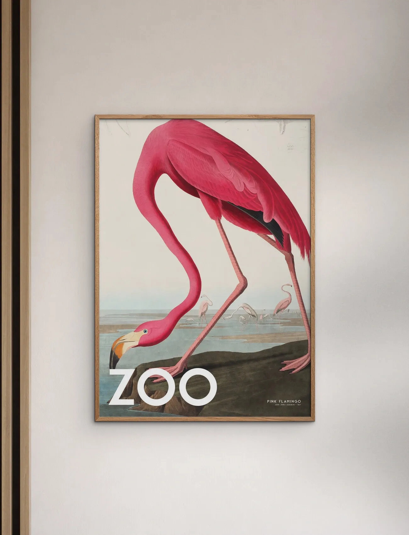 Poster & Frame A.p. Atelier - The Zoo Collection — Pink Flamingo — Edt. 002, 50X70 cm, Pink, Plakater > Dyr, Unisex