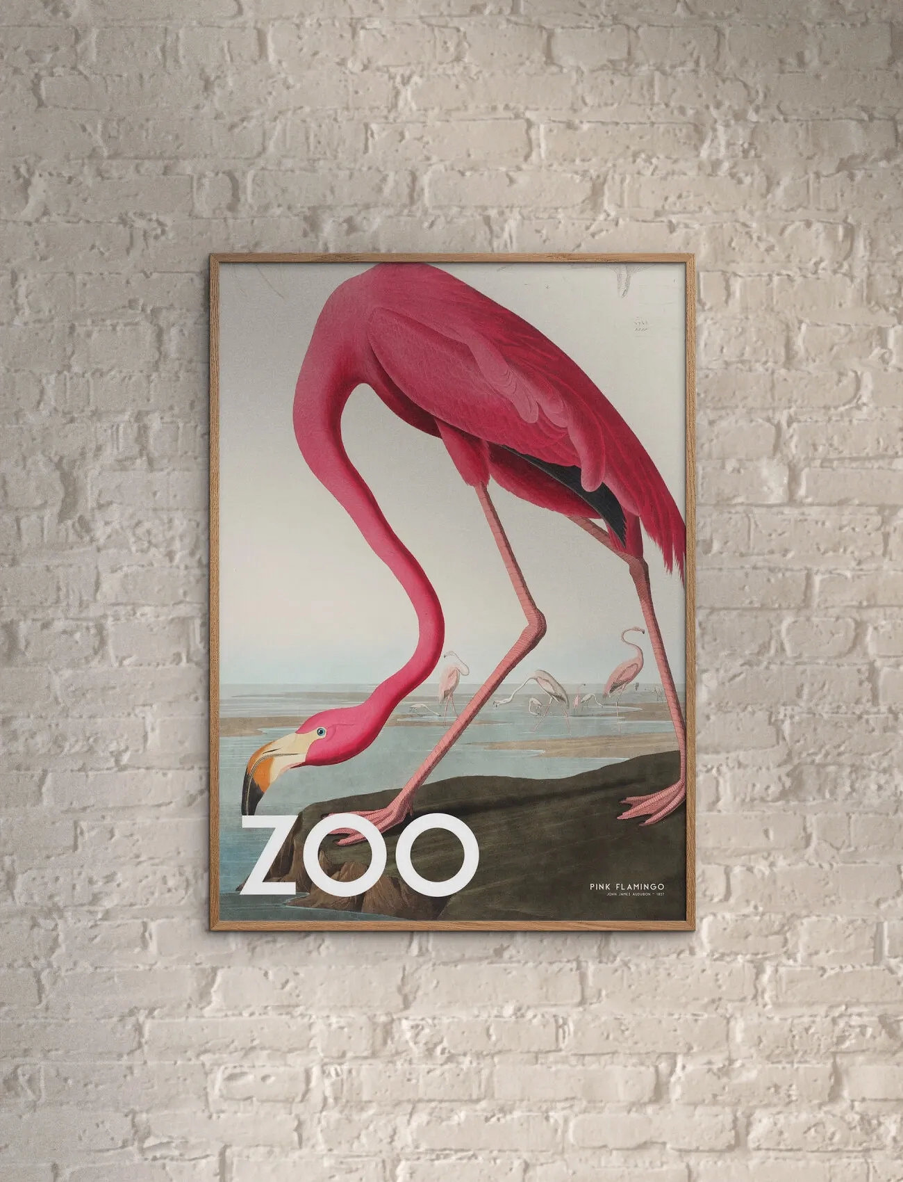 Poster & Frame A.p. Atelier - The Zoo Collection — Pink Flamingo — Edt. 002, 30X40 cm, Pink, Plakater > Dyr, Unisex