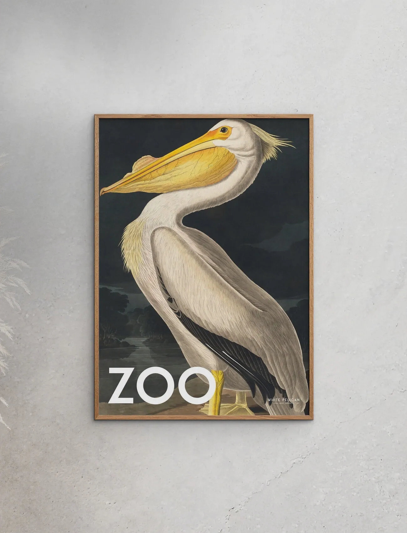 Poster & Frame A.p. Atelier - The Zoo Collection — White Pelican — Edt. 002, 30X40 cm, Multi/patterned, Plakater > Dyr, Unisex