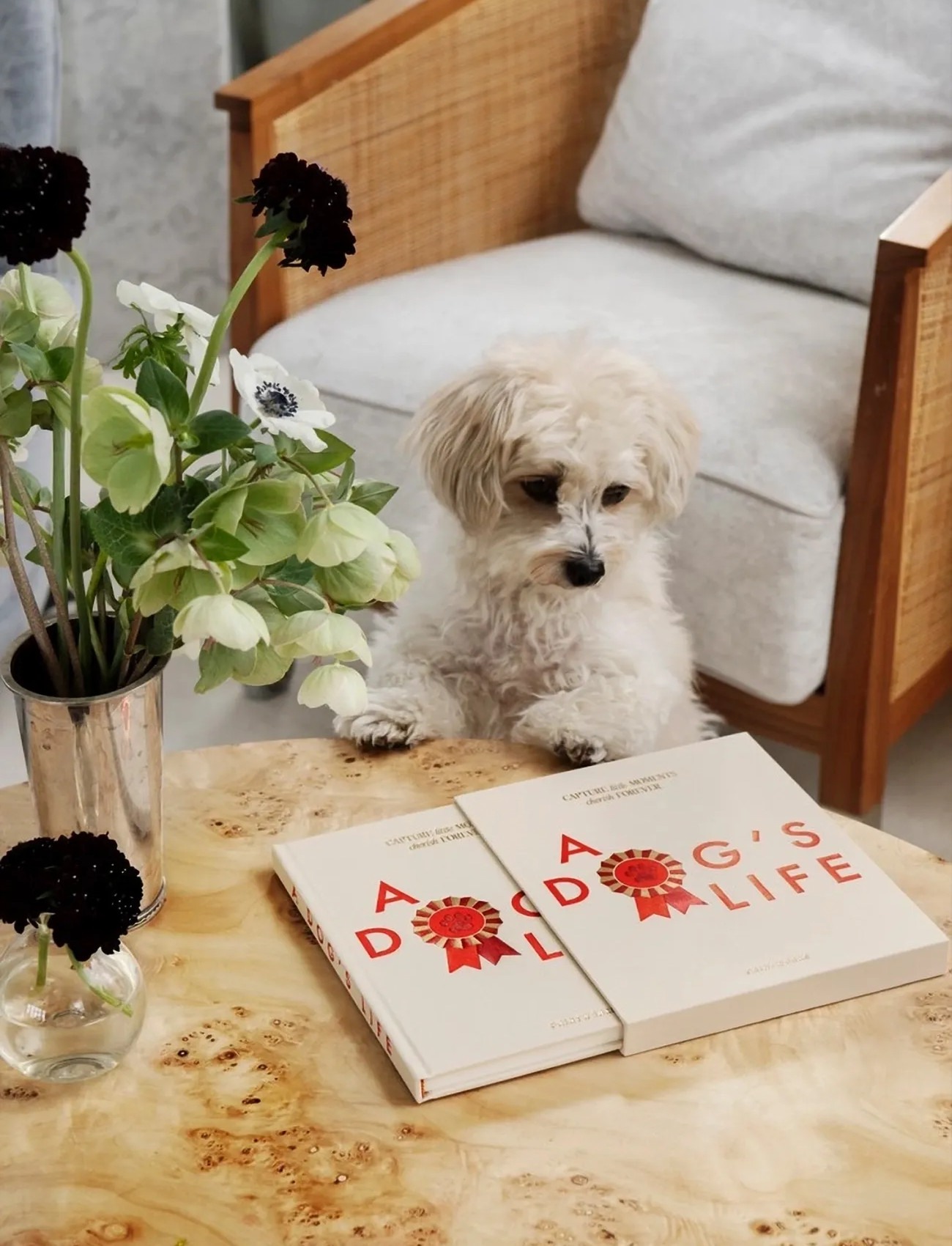 PRINTWORKS A Dog's Life - Dog Journal, One Size, Cream, Kontorartikler > Kalendere Og Notesbøger, Unisex
