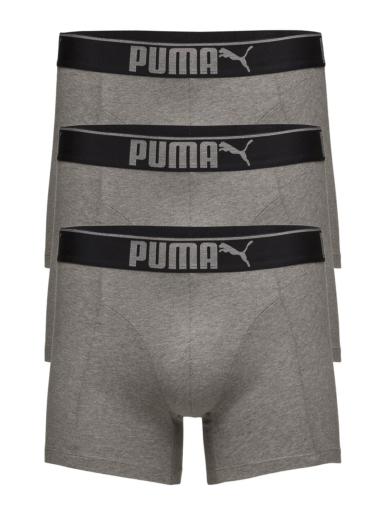 puma boxers