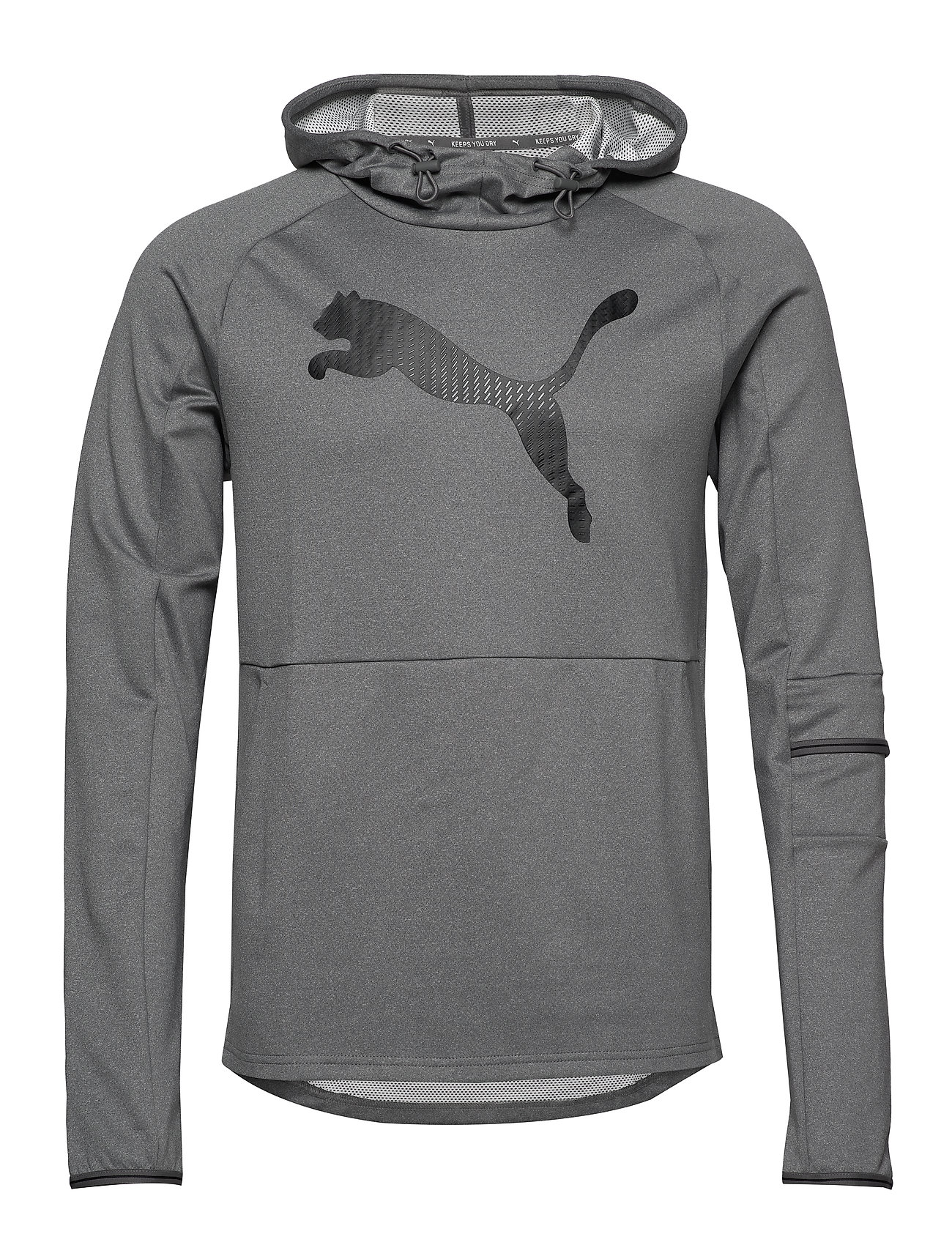 tec sports cat hoodie