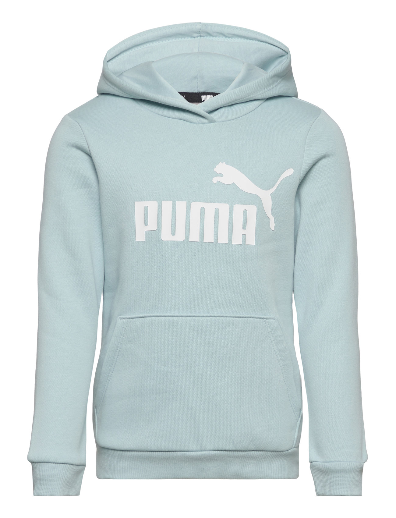 Ess Logo Hoodie Fl G Blue PUMA