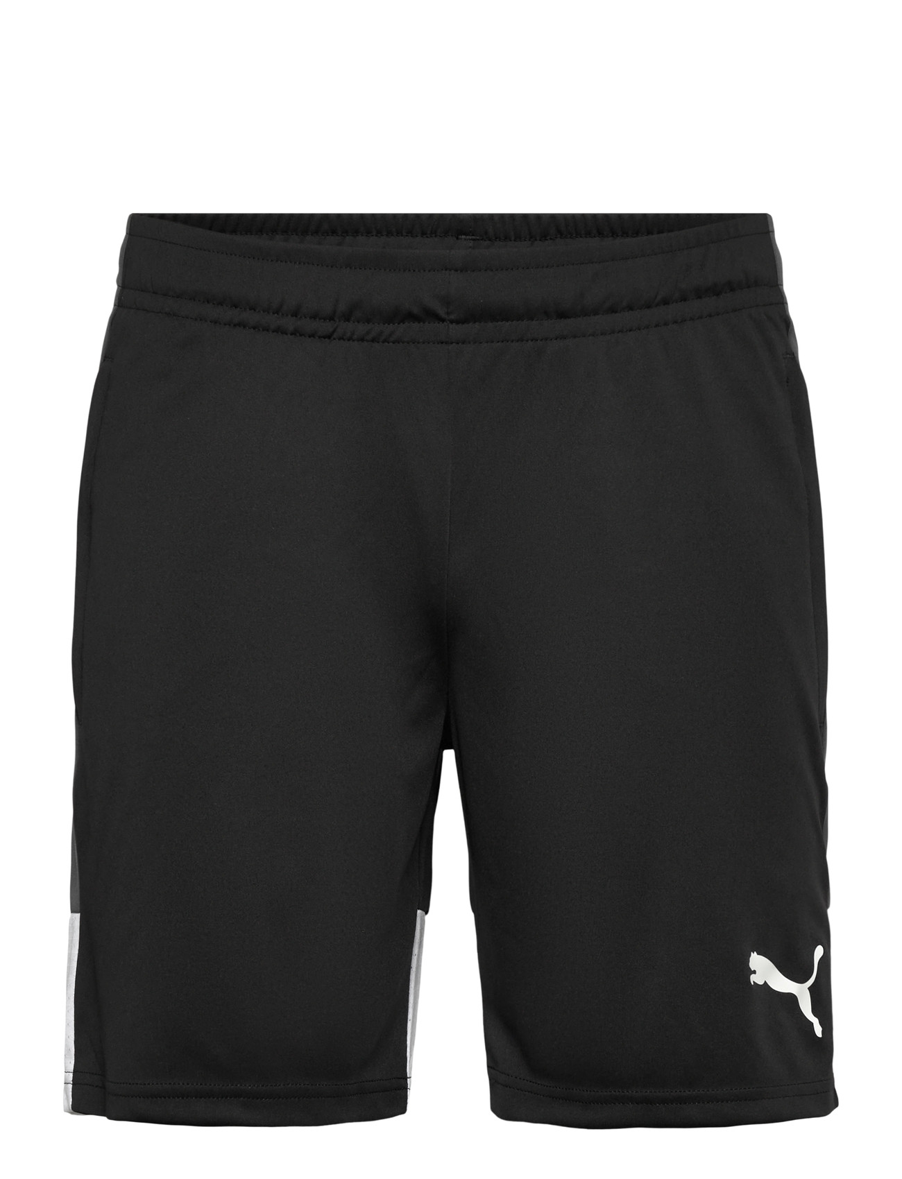 PUMA Individualliga Training Shorts, L, Black, Sport Shorts > Sport Training Shorts, Herre