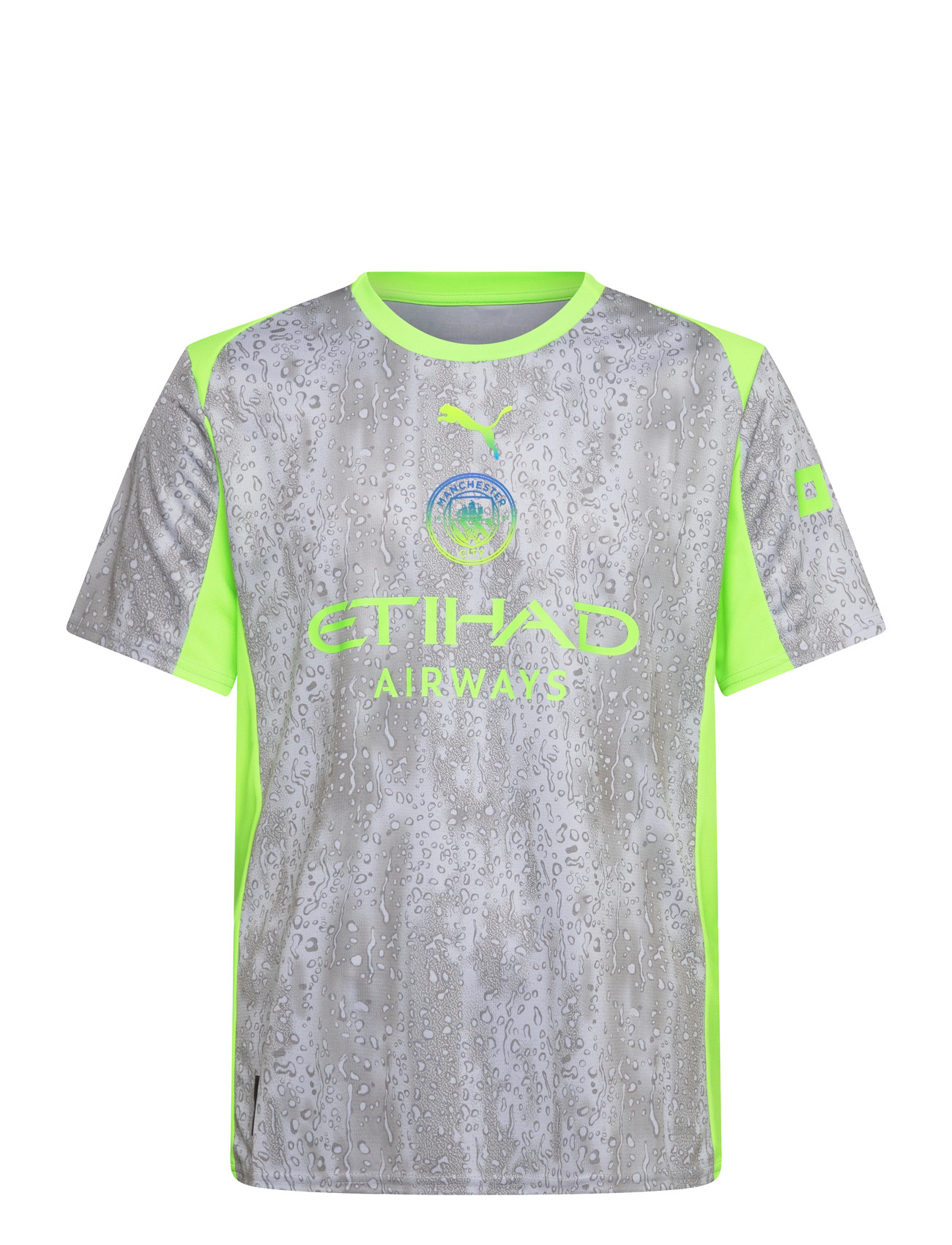 PUMA Mcfc 3Rd Jersey Replica, L, Grey, Sport Overdele > Sport Football Shirts, Herre