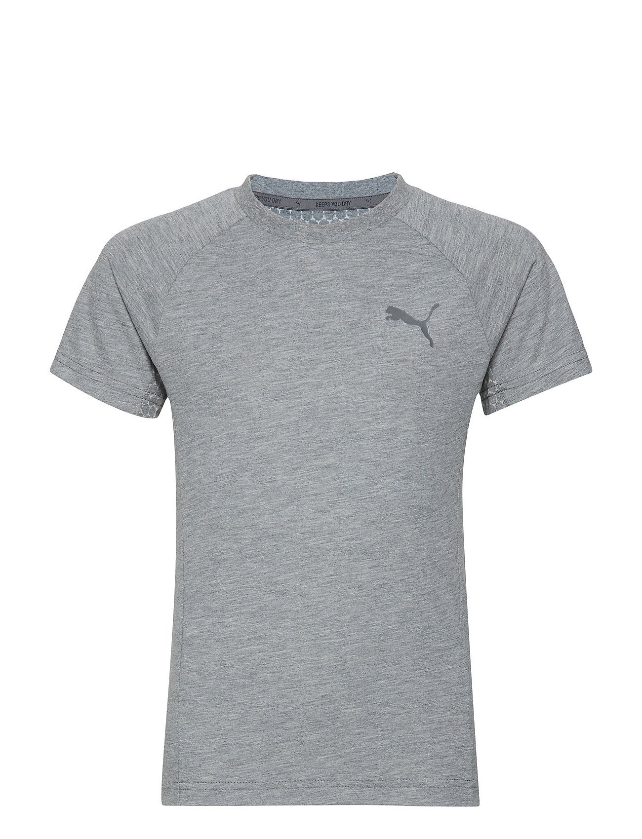 puma evostripe tee