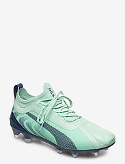 puma 20.1 fg