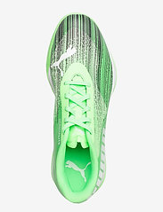 PUMA - Adrenalite 2.1 - buty do sportów halowych - elektro green-puma black-puma white - 3
